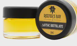 Featured image of post An Ounce of Delta 8 Distillate for $20