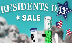 Featured image of post Grass City Presidents' Day Sale